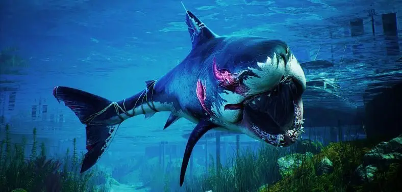 Maneater Steam Release Date - Is It Coming to Steam?