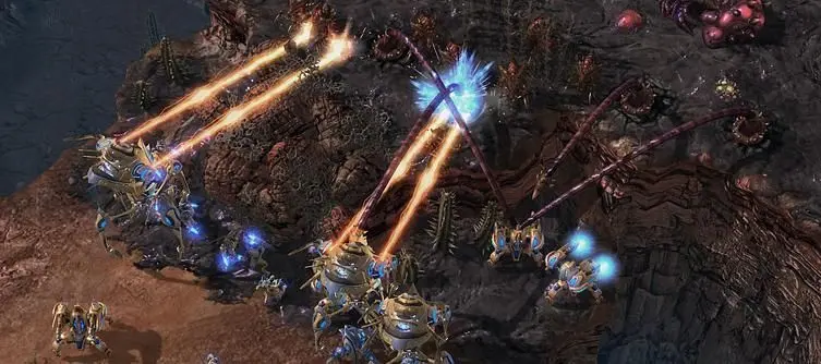 PETA promotes awareness about violence on the poor Zerg