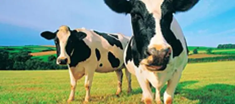 BBC: Games industry "milk" their franchises until boredom hits