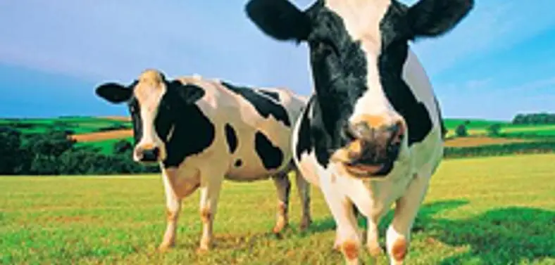 BBC: Games industry "milk" their franchises until boredom hits
