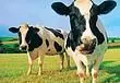 BBC: Games industry "milk" their franchises until boredom hits