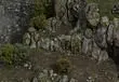 Obsidian Entertainment forms partnership with Paradox Interactive for Pillars of Eternity
