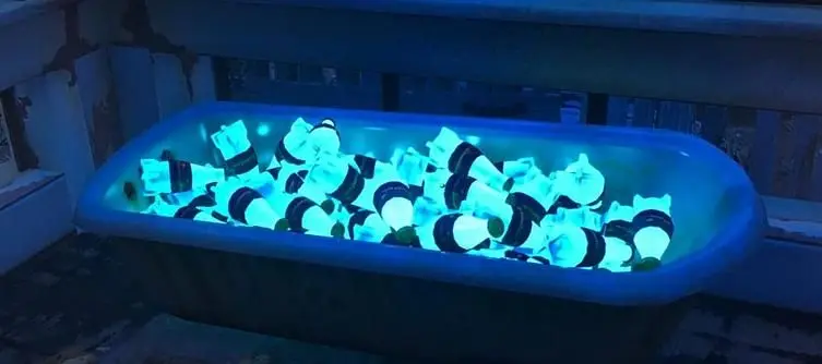 Fallout 76 Nuka Cola Quantum Locations - Where to Farm Nuka Cola Quantum?