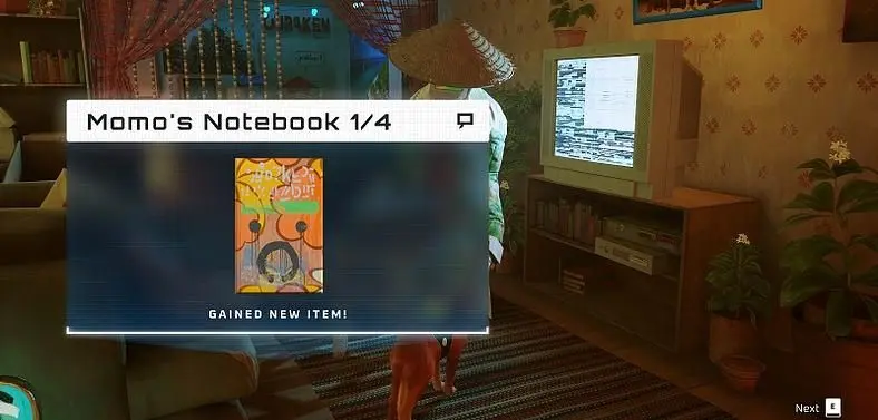 Where are all the Notebook Locations in Stray