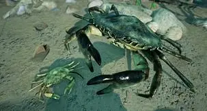 Empires of the Undergrowth Beach Brawl Update and More Detailed in March 2026 Newsletter