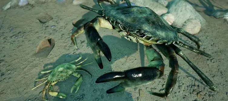 Empires of the Undergrowth Beach Brawl Update and More Detailed in March 2026 Newsletter