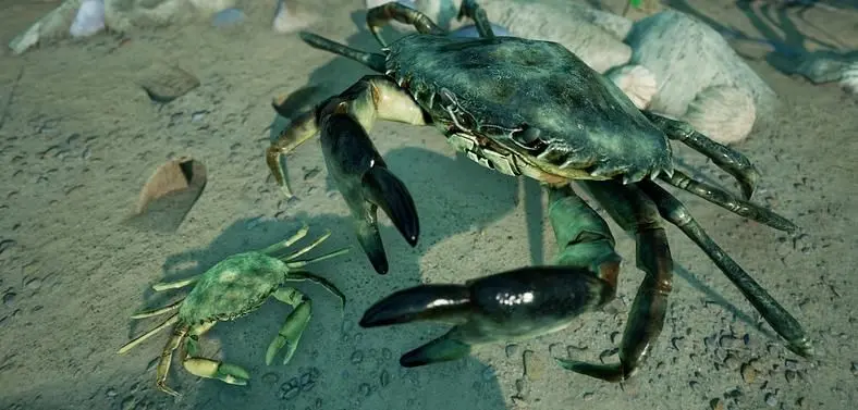 Empires of the Undergrowth Beach Brawl Update and More Detailed in March 2026 Newsletter