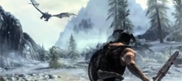 Game manual for Elder Scrolls V: Skyrim leaks, hirelings are in