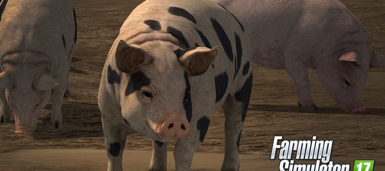 PETA asking GIANTS Software to add Pig-slaughter footage to Farming Simulator 2017 