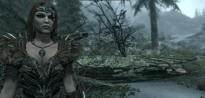 Good Skyrim Names - Flat-Bandit or Broken-Leg? What Are The Best Nord Names For Your Skyrim: Special Edition Playthrough?