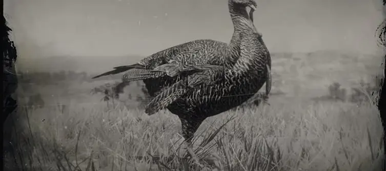 Red Dead Redemption 2 Online Turkey Locations Guide