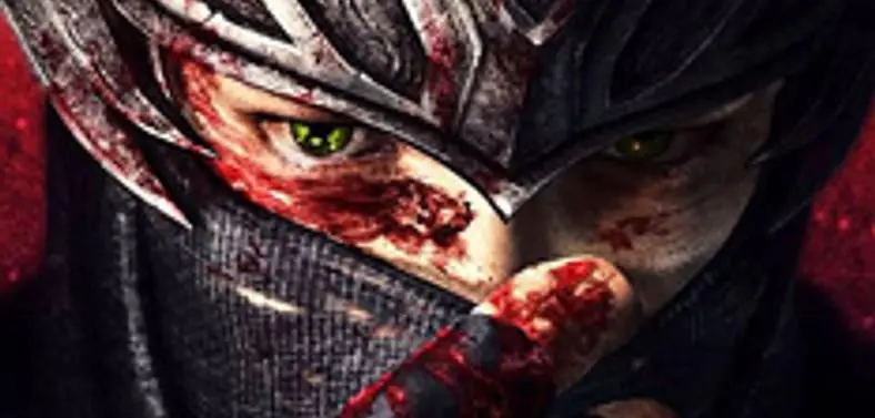 Ninja Gaiden 2 was 'unsatisfying'