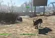 When's our Fallout 4 review coming?