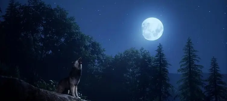 Medieval Dynasty Wolf Location Guide