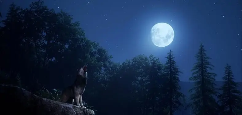 Medieval Dynasty Wolf Location Guide