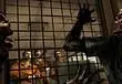 Telltale: Walking Dead success attracts other licenses, will reveal more in 2013