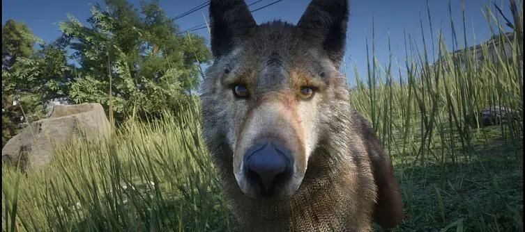 Red Dead Redemption 2 - How to play as animals or other characters