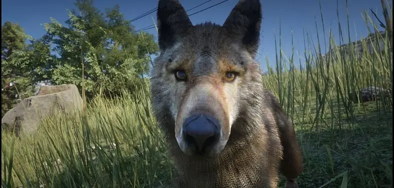 Red Dead Redemption 2 - How to play as animals or other characters