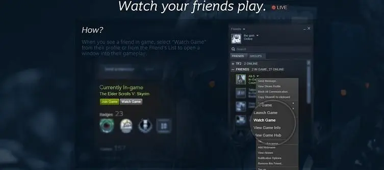 Steam Broadcasting beta offers quick and easy livestreaming