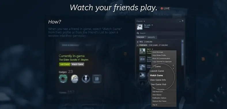 Steam Broadcasting beta offers quick and easy livestreaming