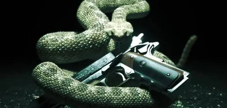 Hitman Absolution's engine to 'rival the best'
