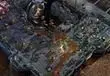 EA LA: Starcraft II will boost RTS genre