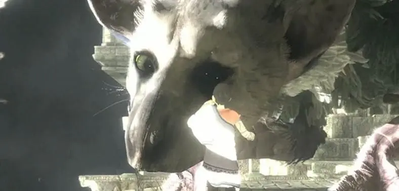 No Last Guardian at TGS