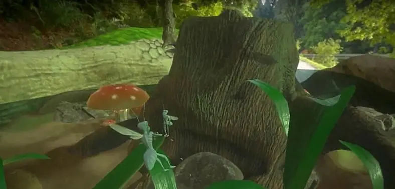 Be an insect in The Colony, a new first person ant simulator