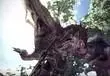Monster Hunter World's PC Version Is Coming Later Due To An Inexperienced Internal Team