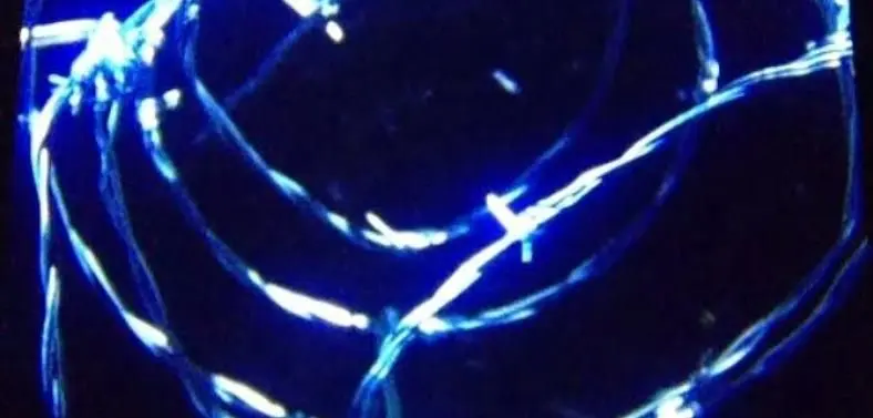 Bethesda teases new game with barbed wire and burning sunflowers