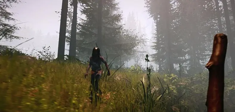 Endnight adds co-op multiplayer to survival horror game The Forest‏ 