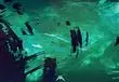 Homeworld 3 Release Date - Here's When It Launches