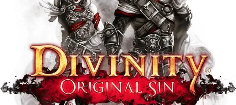 Divinity: Original Sin hits $500K stretch goal, new goals added