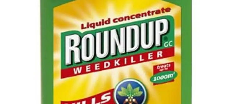 The Strategy Informer Weekly Round-Up
