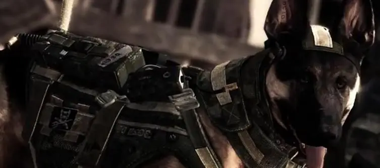 Call of Duty: Ghosts ships over $1 billion in retail stock on first day
