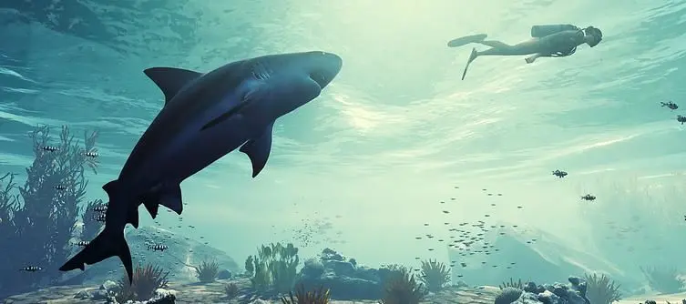 Shark ARPG Maneater Will Be An Epic Games Store Exclusive For the First 12 Months