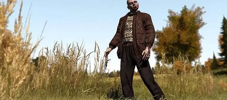 Standalone DayZ held back by "some runaway systems"