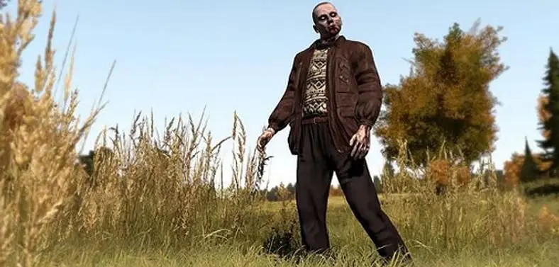 Standalone DayZ held back by "some runaway systems"
