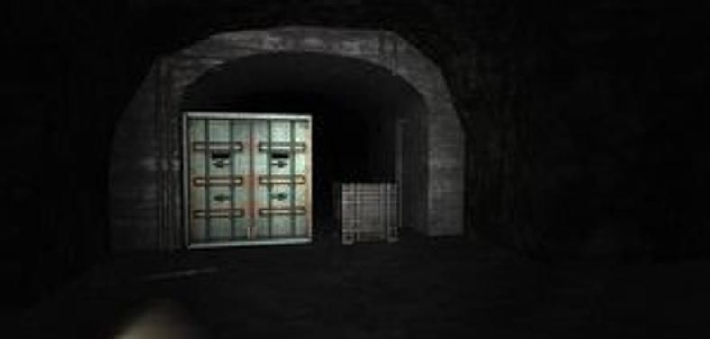 While the graphics are not going to blow any barriers, the engine is more than enough to offer a claustrophobic horror landscape to explore.
