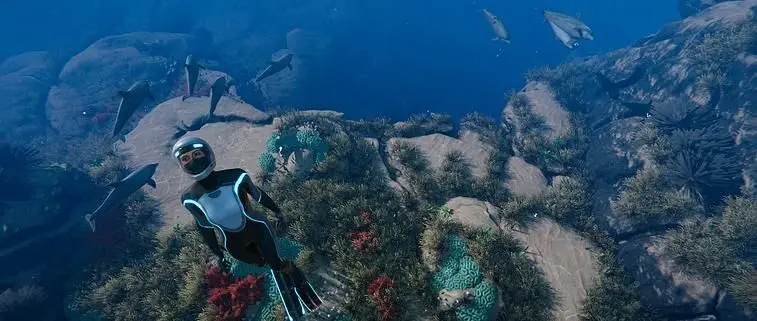 Beyond Blue Review