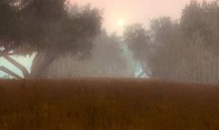 Neverwinter Nights 2 screenshot 8