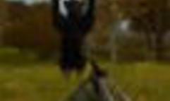 Cabela's Dangerous Hunts screenshot 3