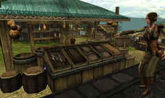Dungeons & Dragons Online: Menace of the Underdark screenshot 9