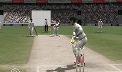 Cricket 07 screenshot 14