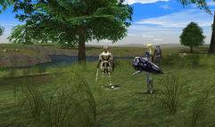 Lineage II: The Chaotic Chronicle screenshot 5