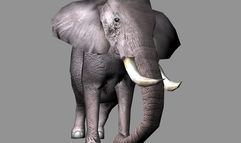 Wildlife Park 2 screenshot 1