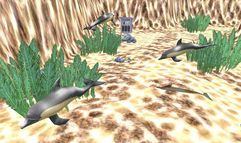 Marine Park Empire screenshot 1