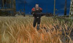 Maelstrom screenshot 7