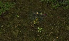 Avencast: Rise of the Mage screenshot 9