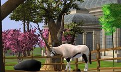 Wildlife Park 2 screenshot 4